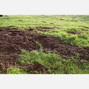 Topdress til grsplnen 3 m i lsvgt inkl. lev. m kran